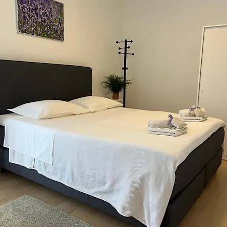 Apartment Zanini *