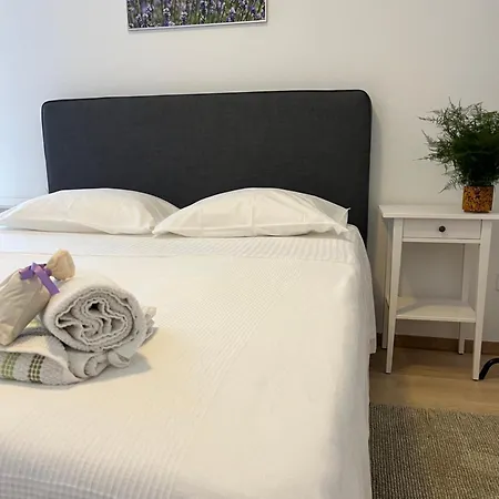 Apartment Zanini *
